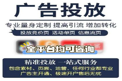 竞价广告与自然搜索的结合策略：XX网站的案例分析